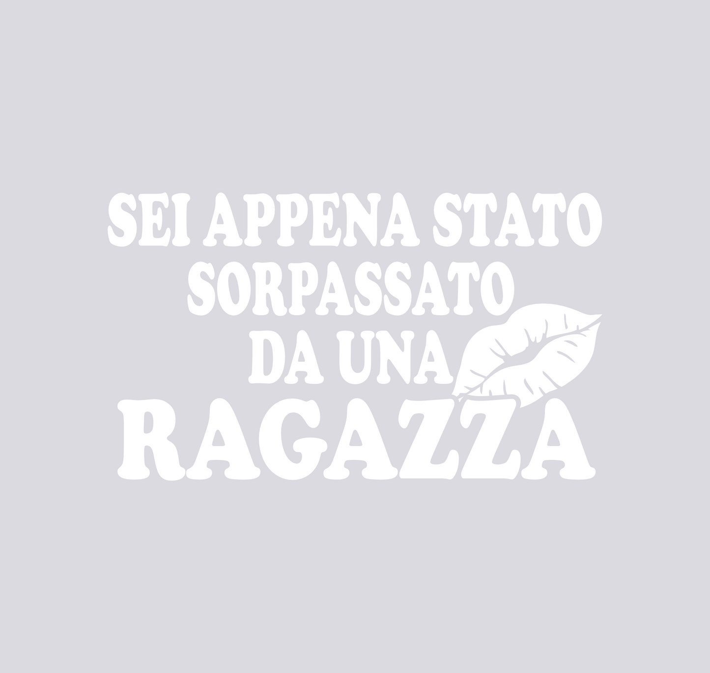 set adesivi decal vinile