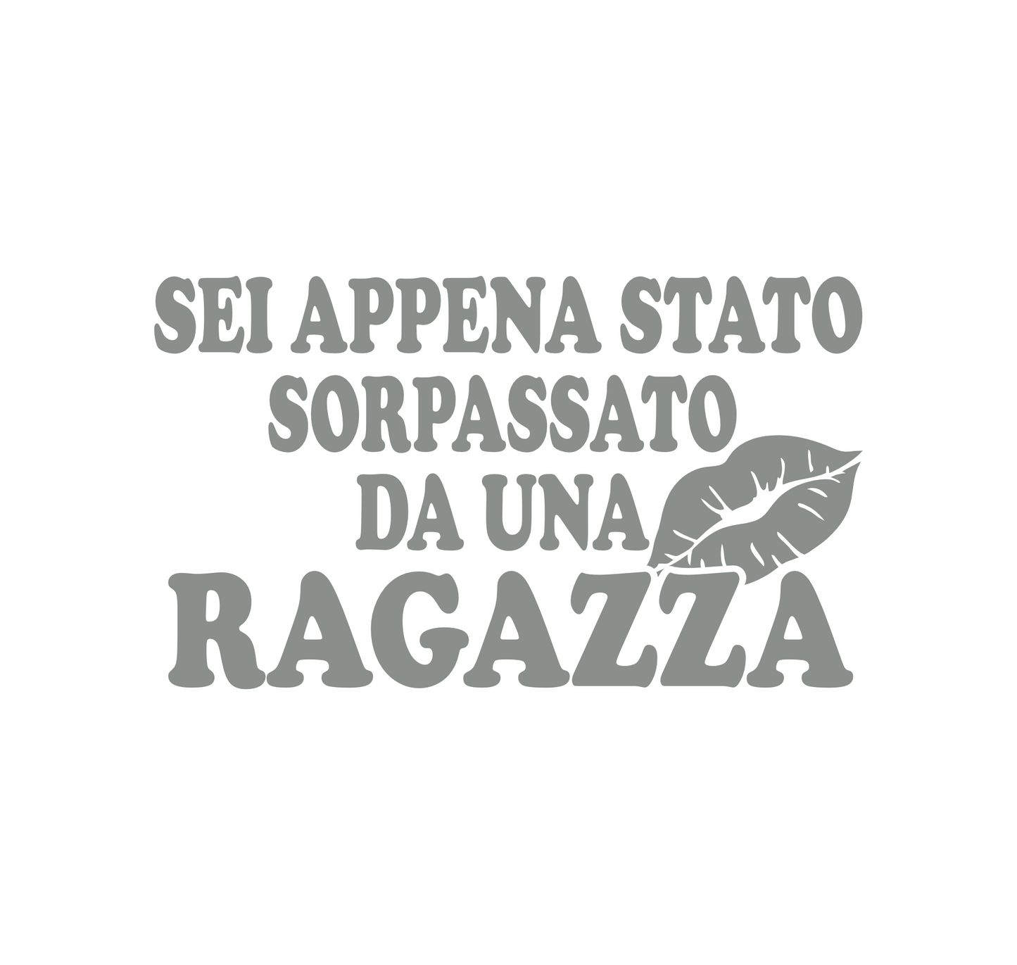 set adesivi decal vinile