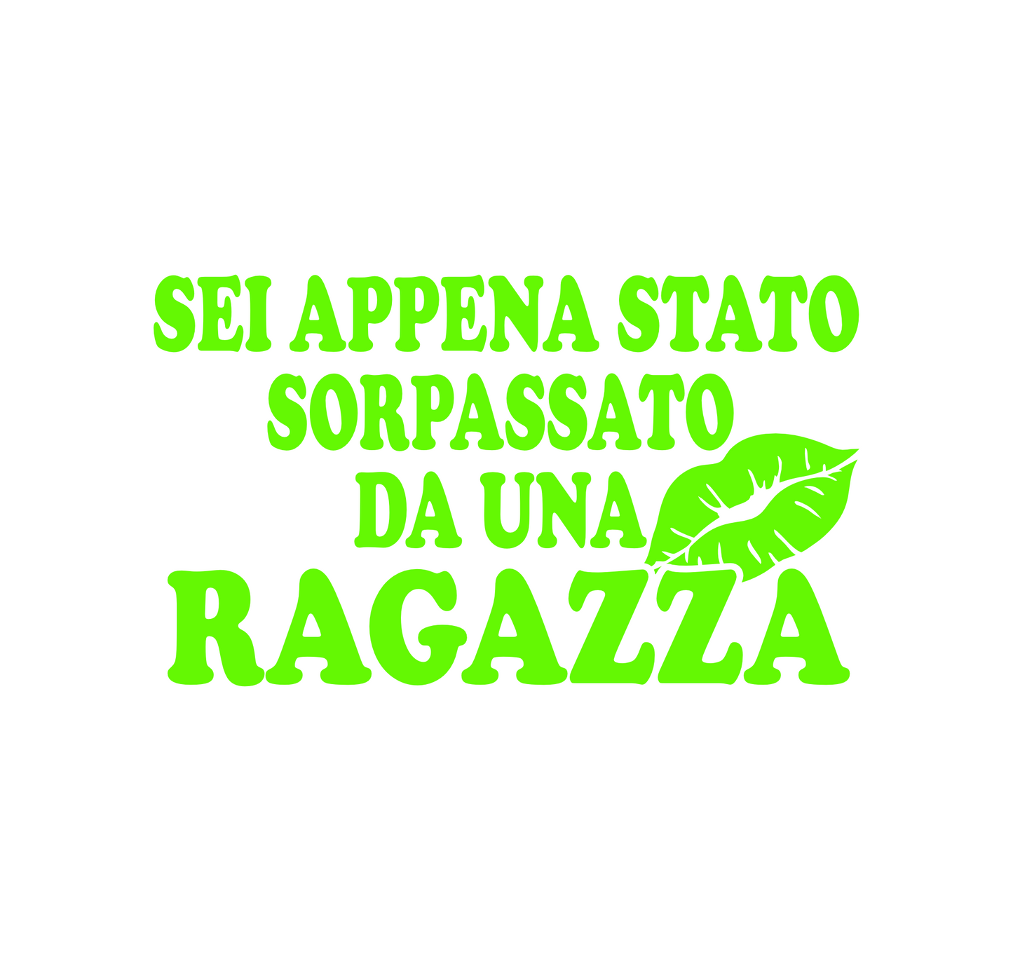 set adesivi decal vinile