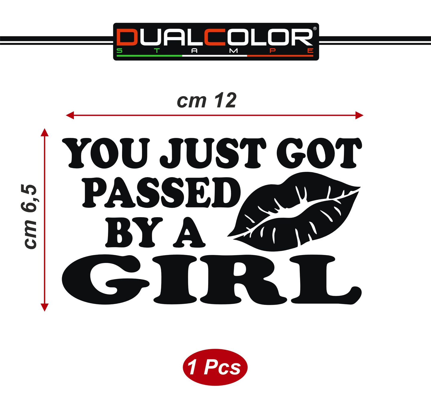 DualColorStampe® Adesivi per auto divertenti stickers auto divertenti stickers casco moto camper frase divertente sei appena stato sorpassato da una ragazza 0401