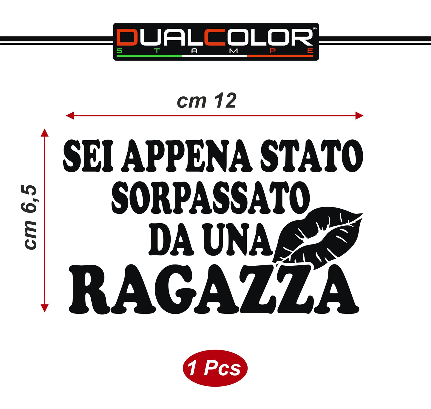 DualColorStampe® Adesivi per auto divertenti stickers auto divertenti stickers casco moto camper frase divertente sei appena stato sorpassato da una ragazza - 0402