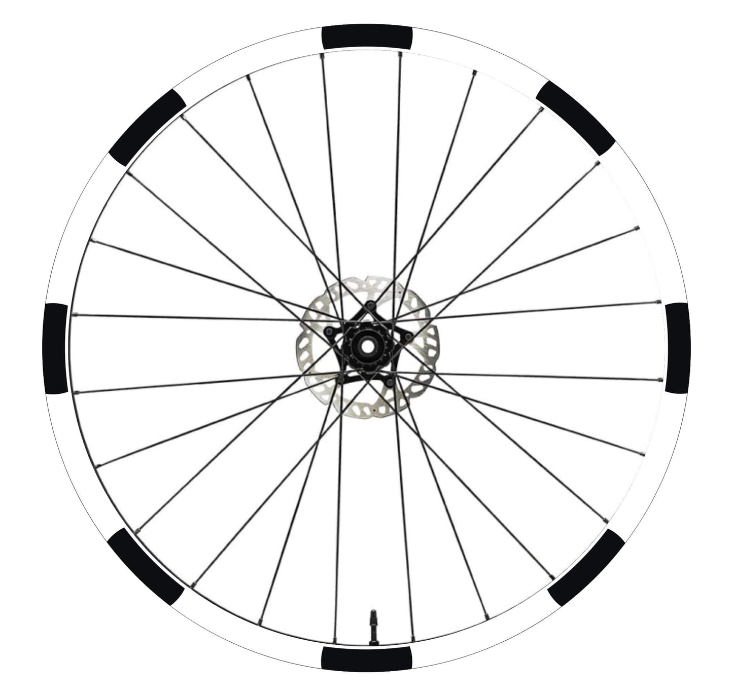 set adesivi decal vinile