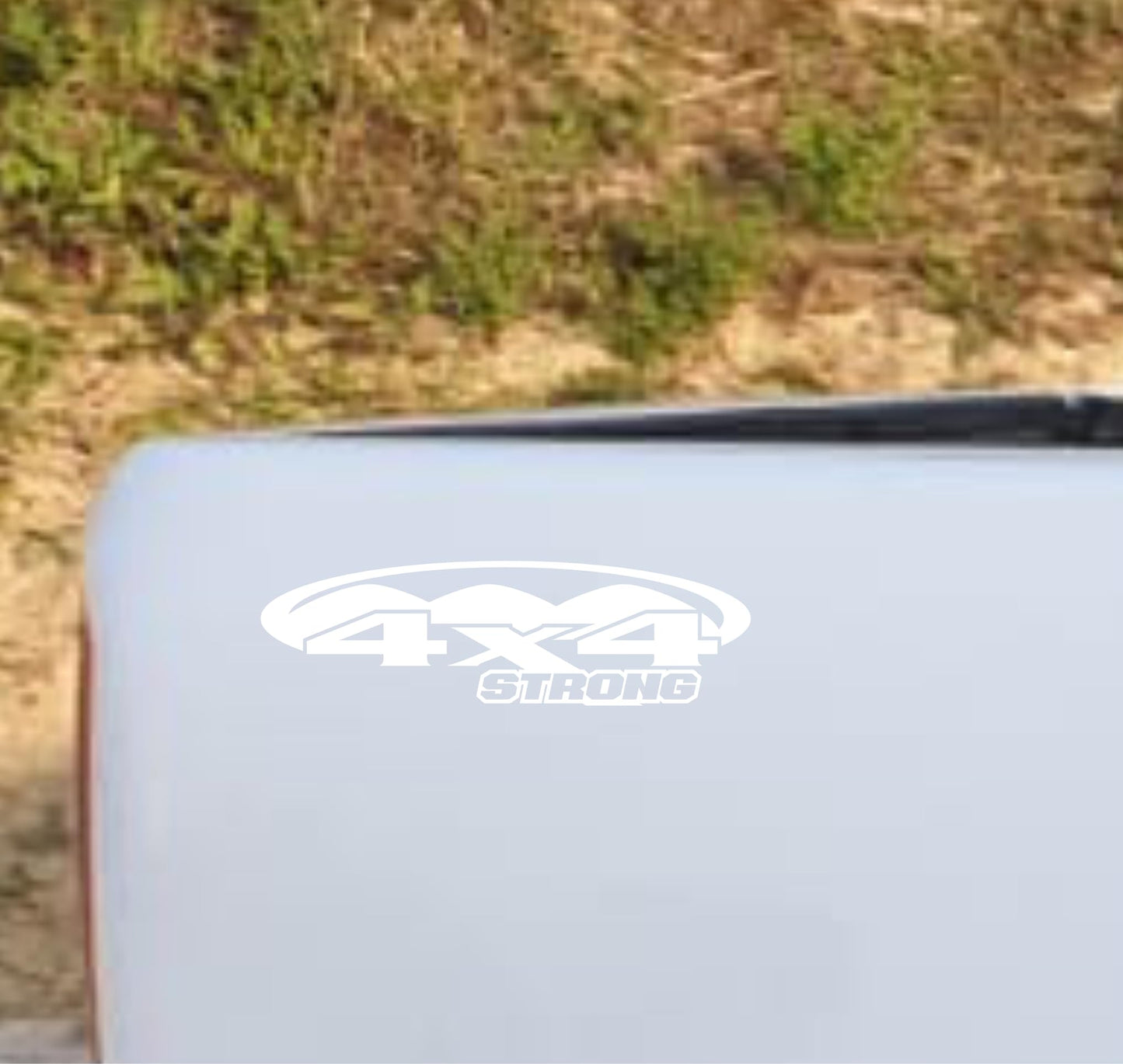 DualColorStampe® Adesivi 4x4 per Pickup e Auto - Resistenti e Impermeabili - Ideali per Tutti i Modelli - Set da 2 Pezzi decal auto tuning 0420