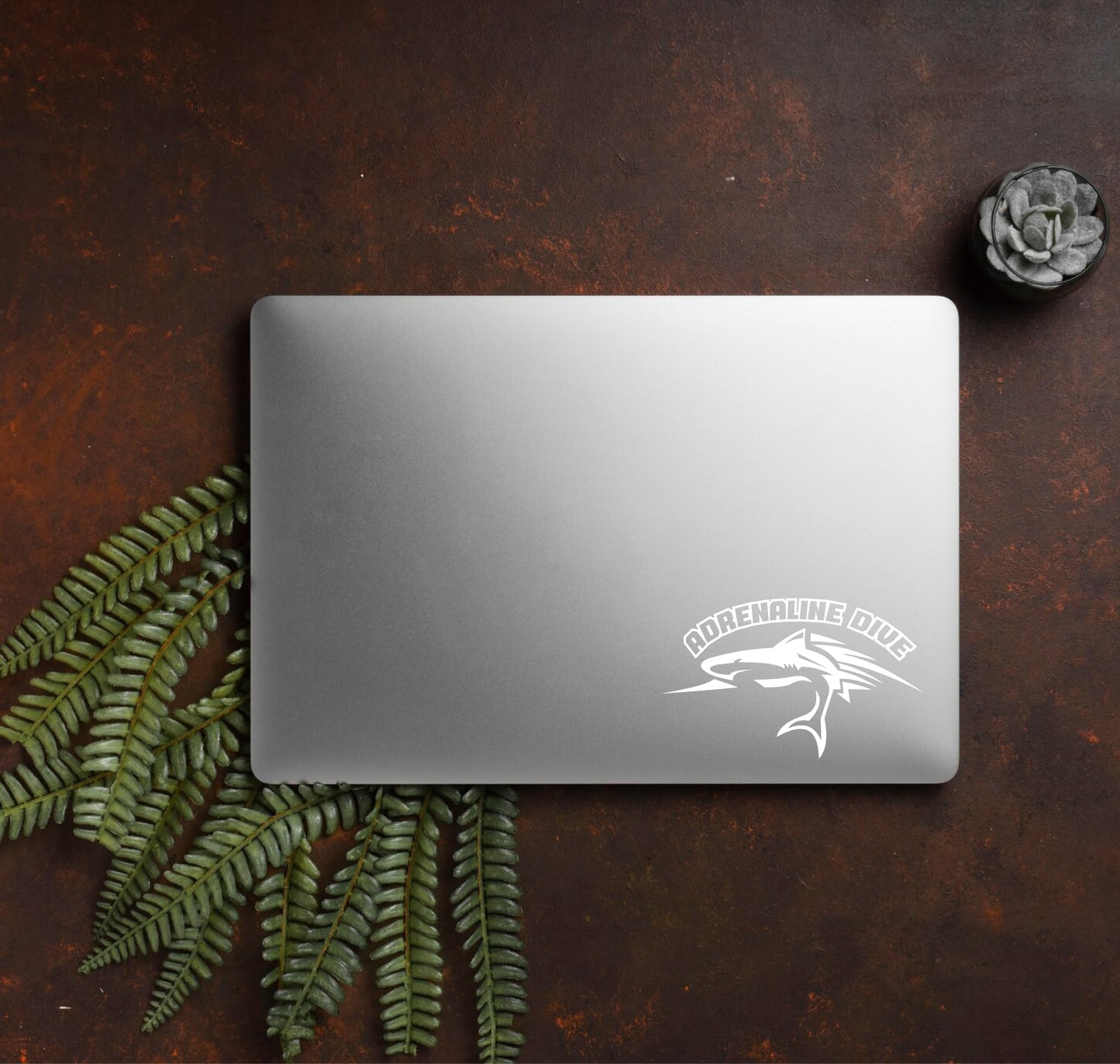 set adesivi decal vinile