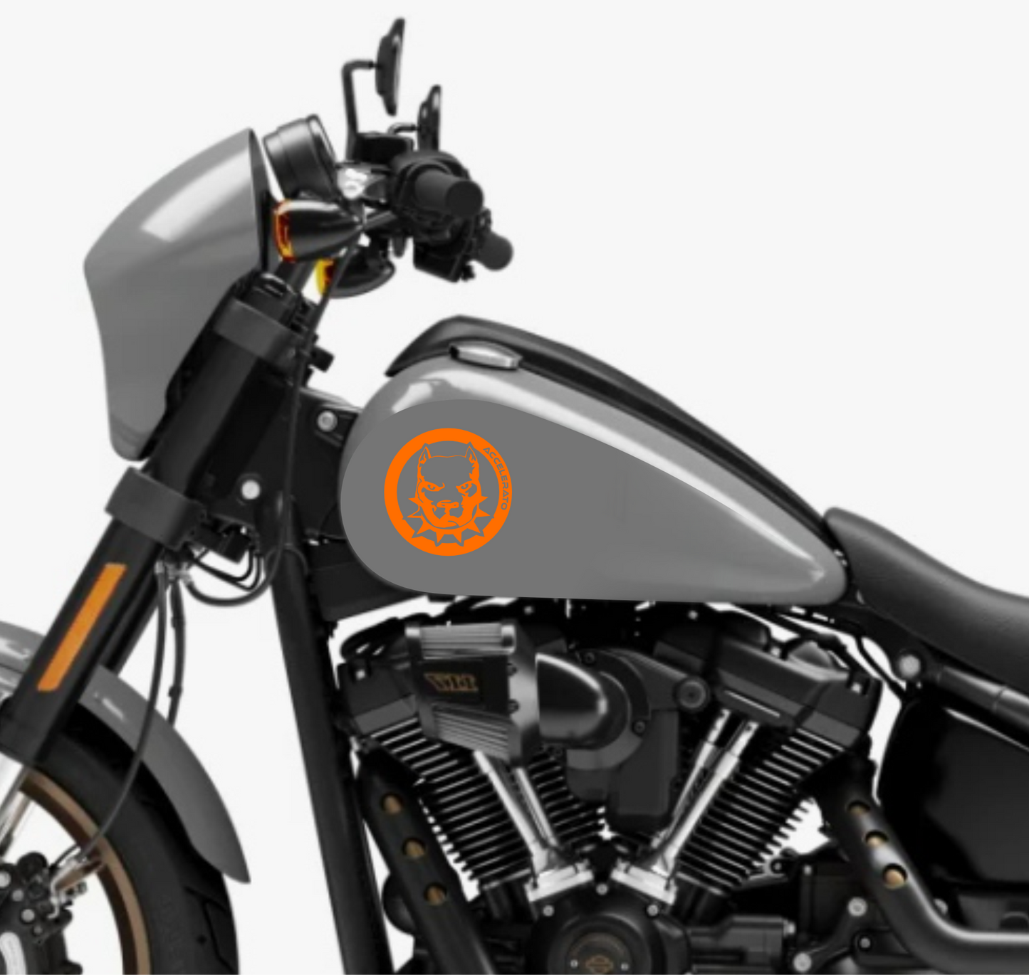 set adesivi decal vinile