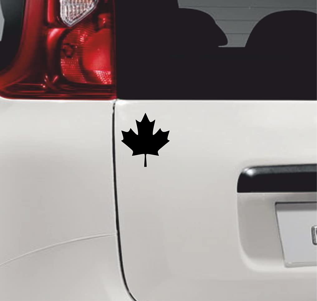 set adesivi decal vinile
