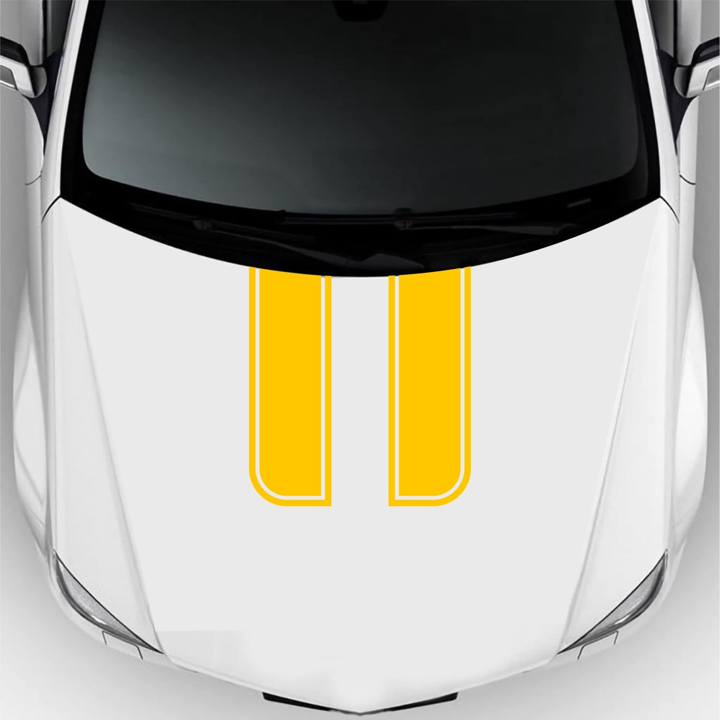 set adesivi decal vinile