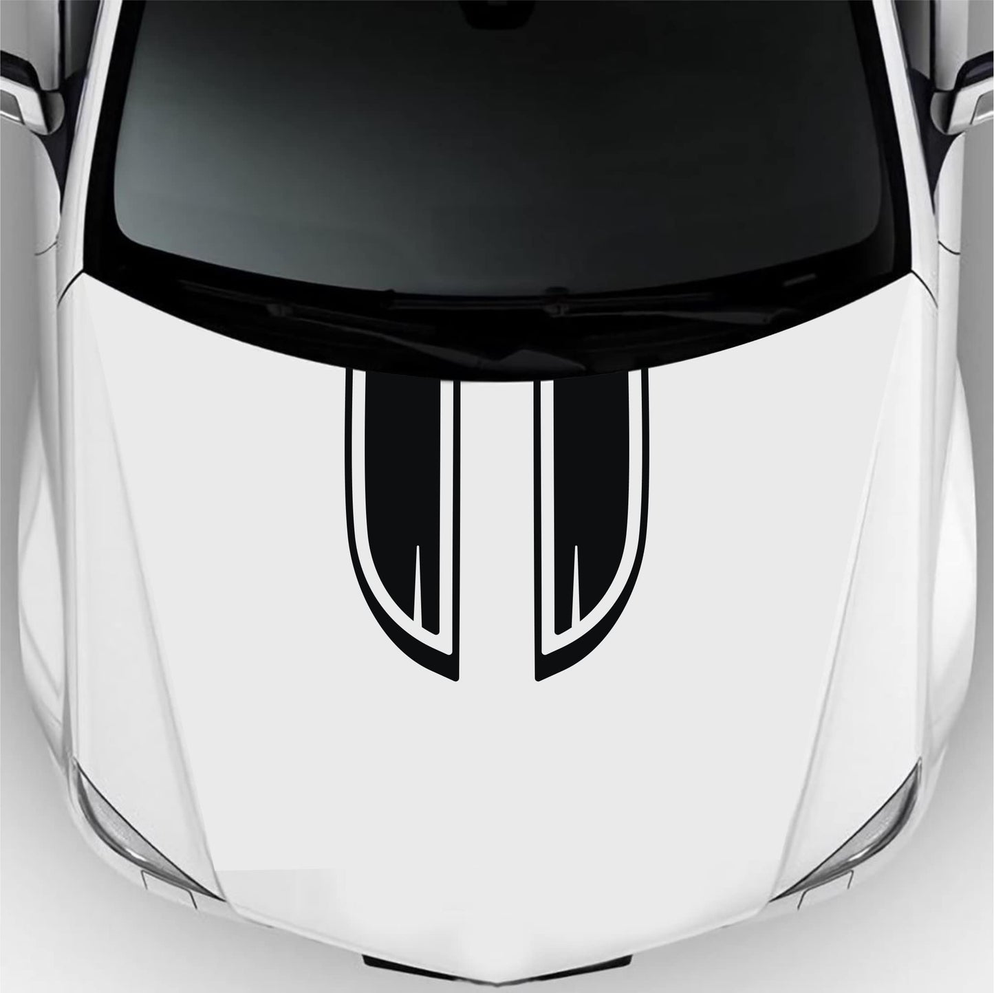 set adesivi decal vinile