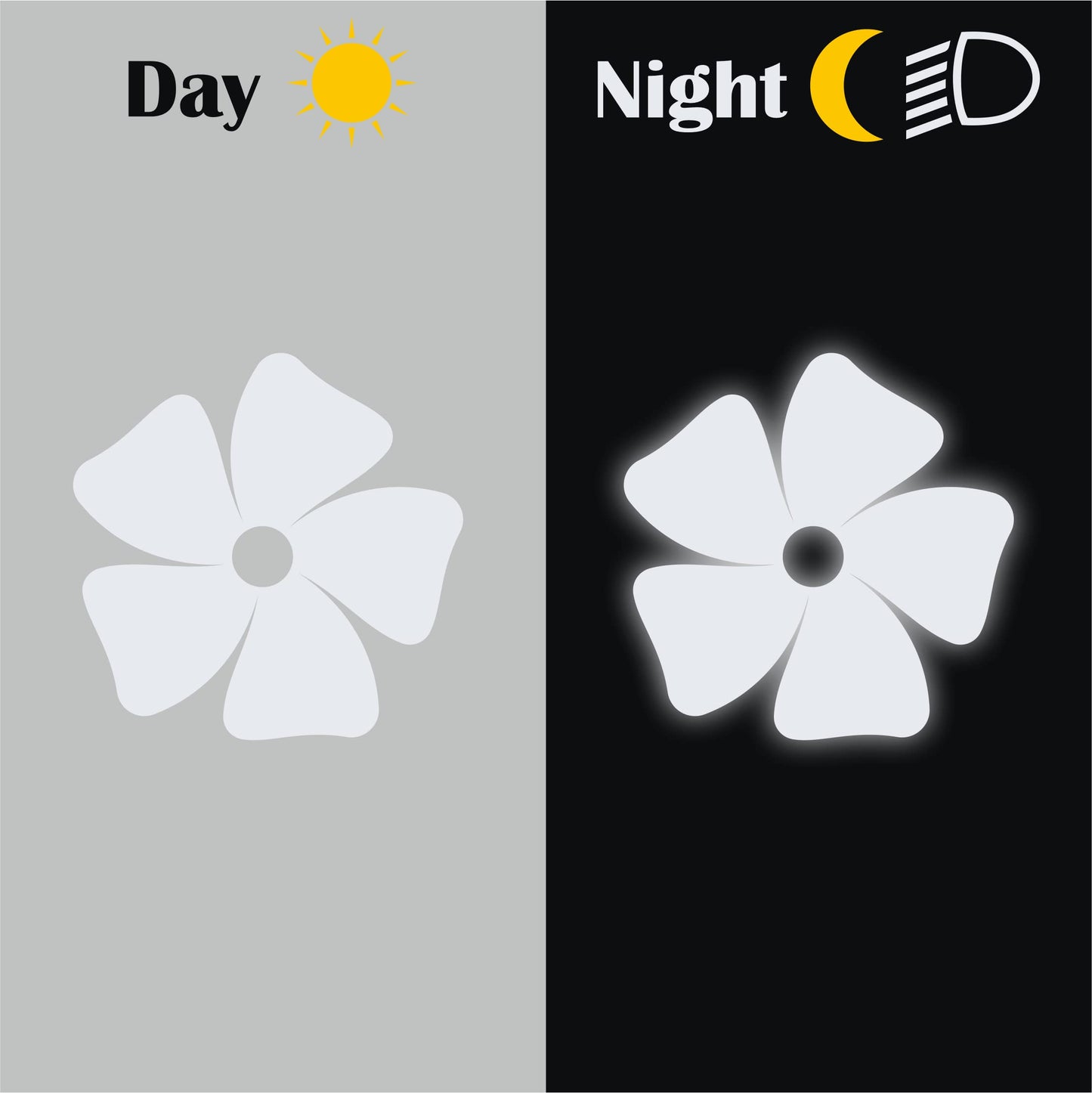 set adesivi decal vinile