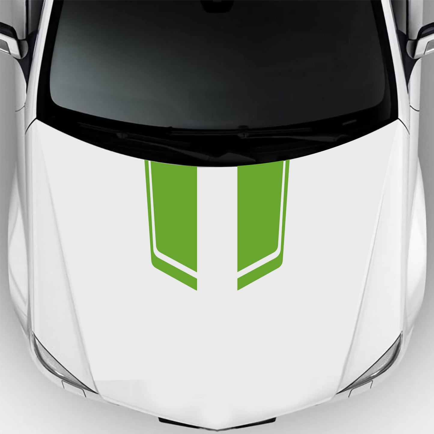 set adesivi decal vinile
