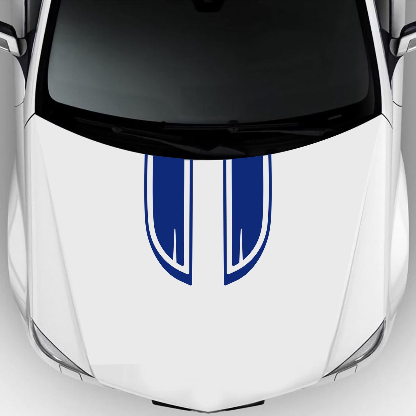 set adesivi decal vinile