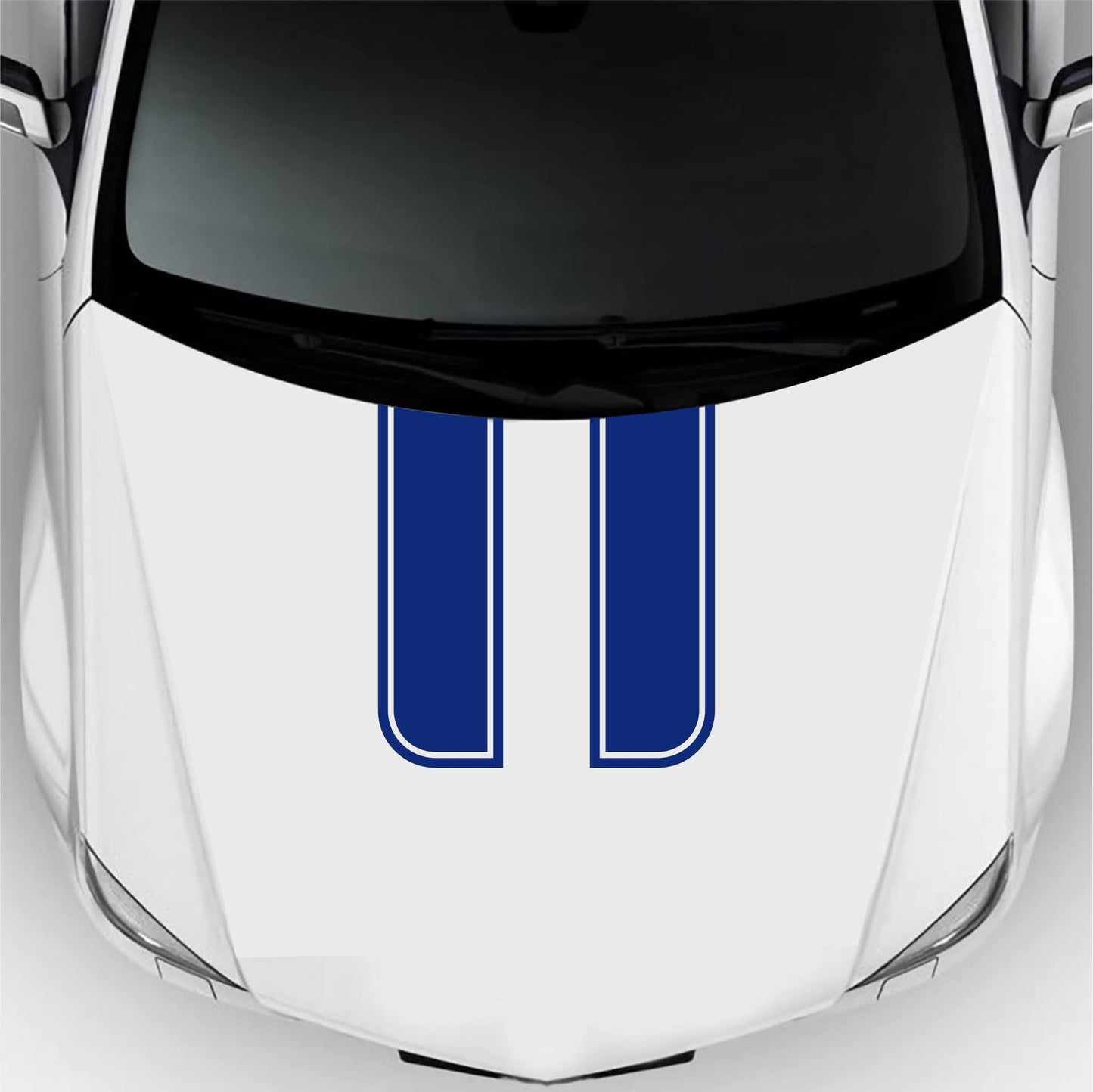 set adesivi decal vinile