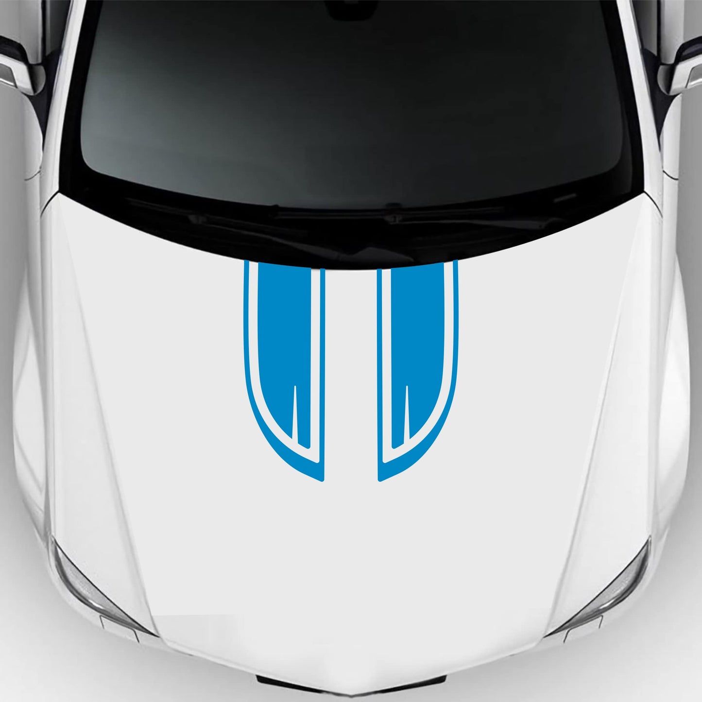 set adesivi decal vinile