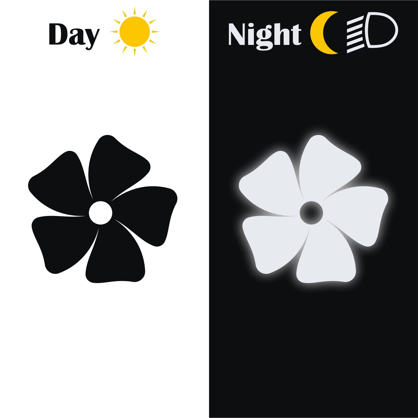 set adesivi decal vinile