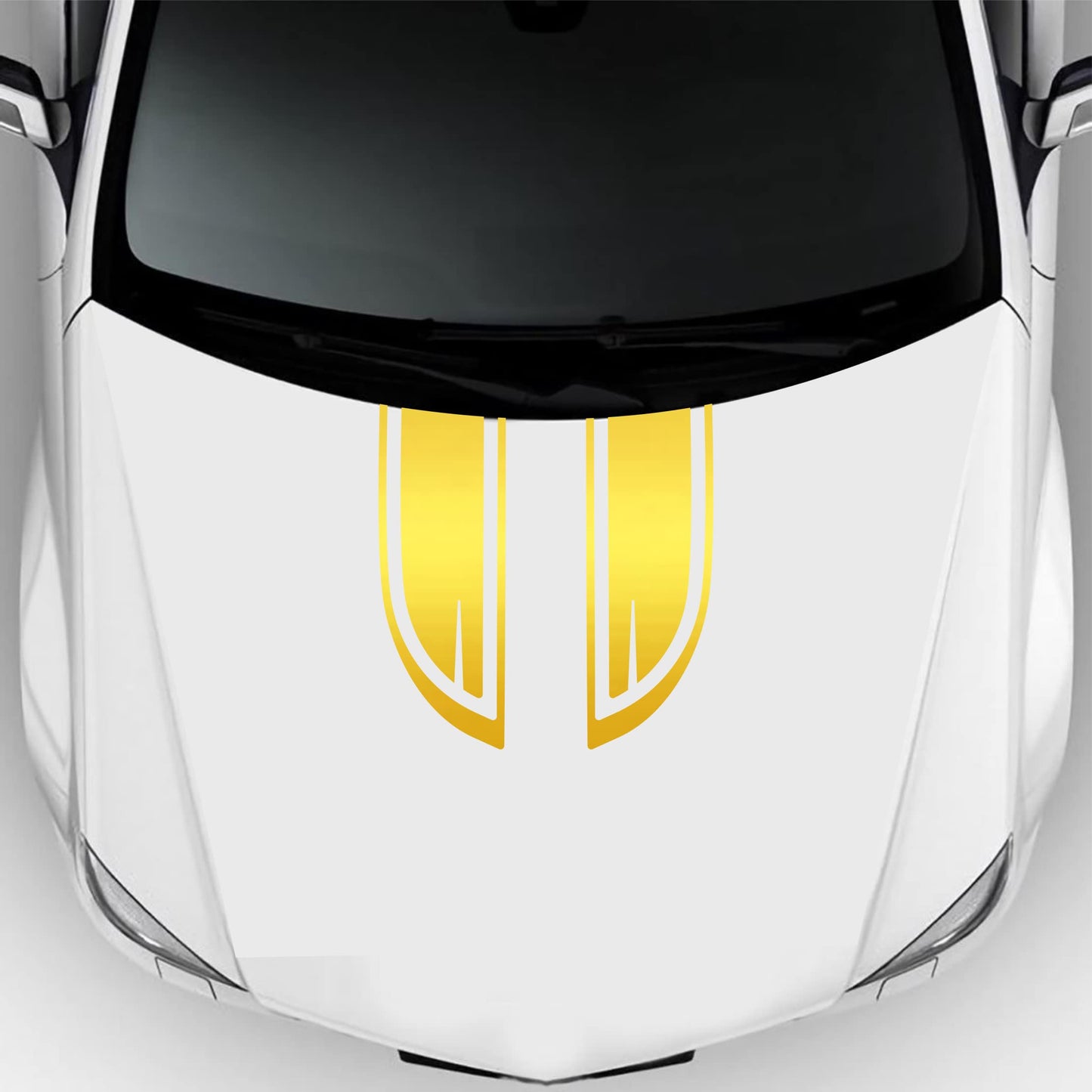 set adesivi decal vinile