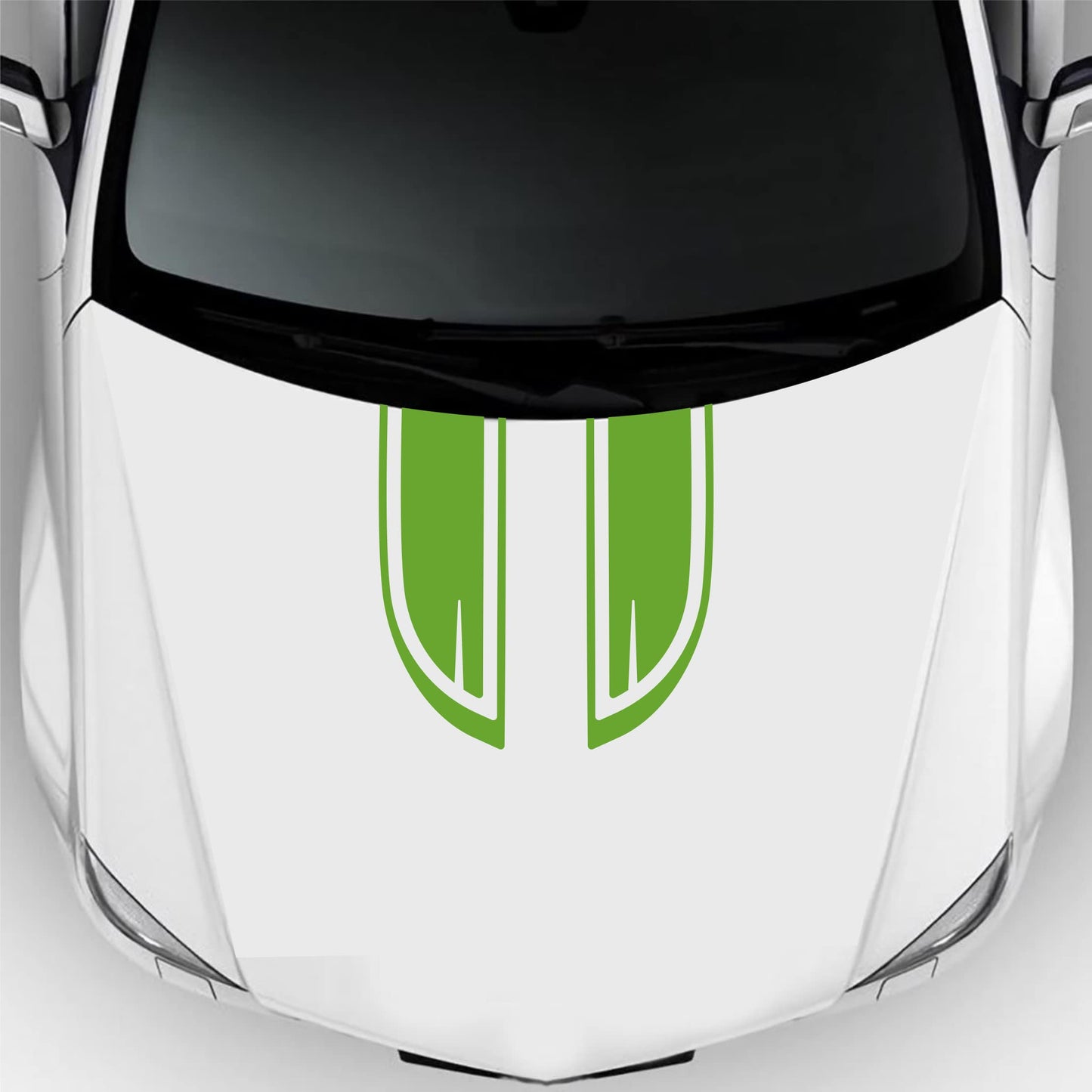 set adesivi decal vinile