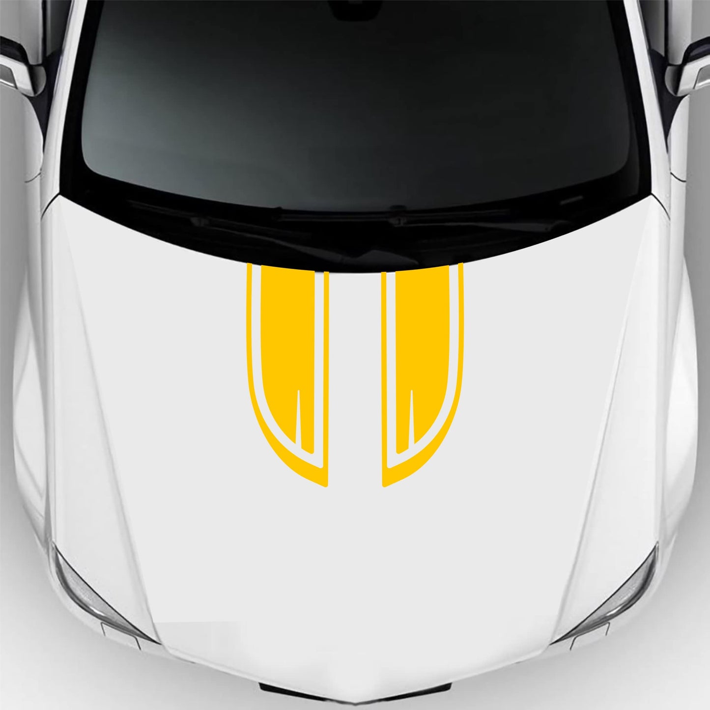 set adesivi decal vinile