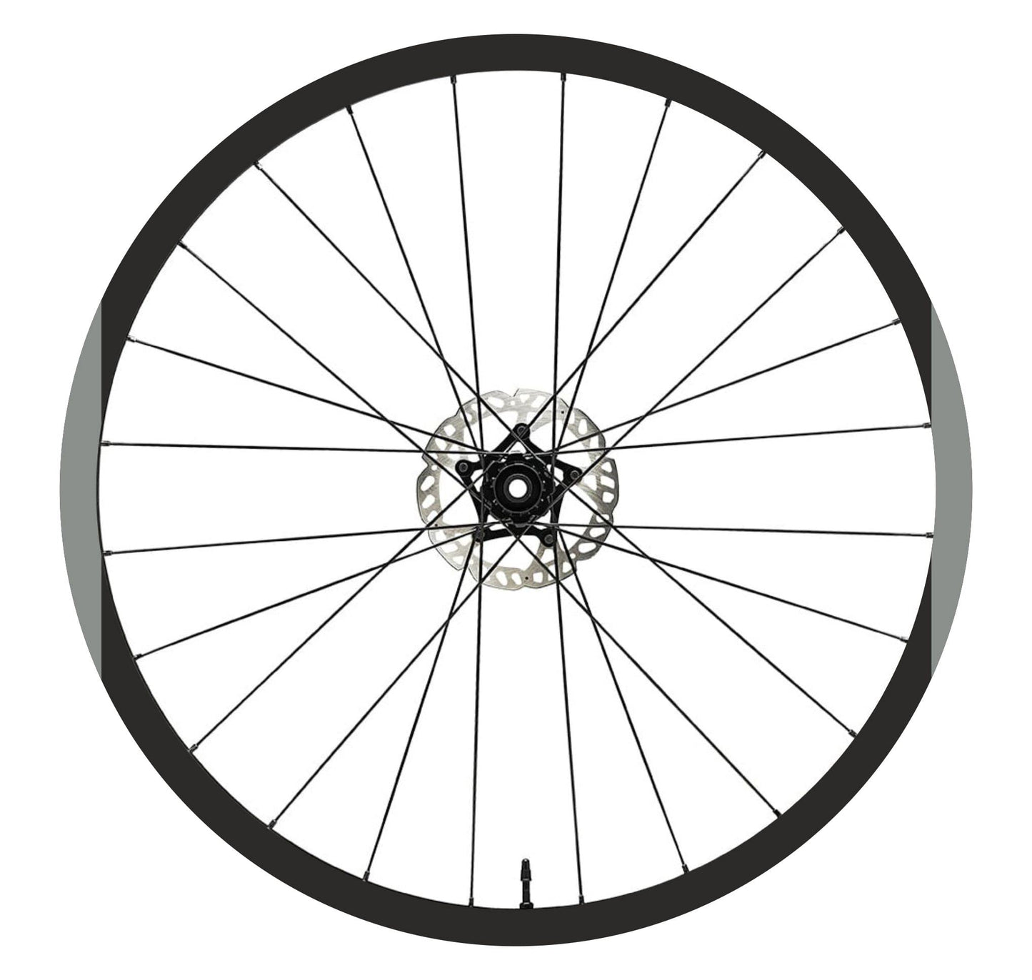 set adesivi decal vinile