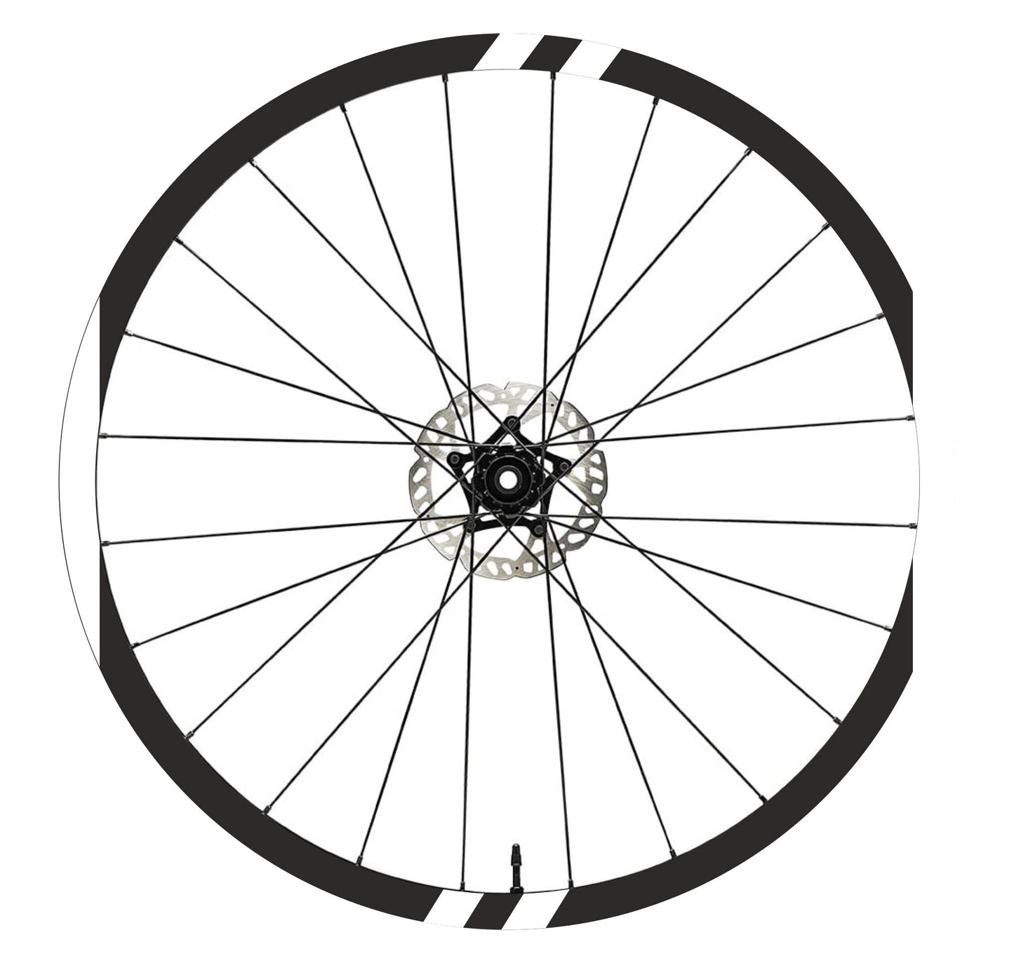 set adesivi decal vinile