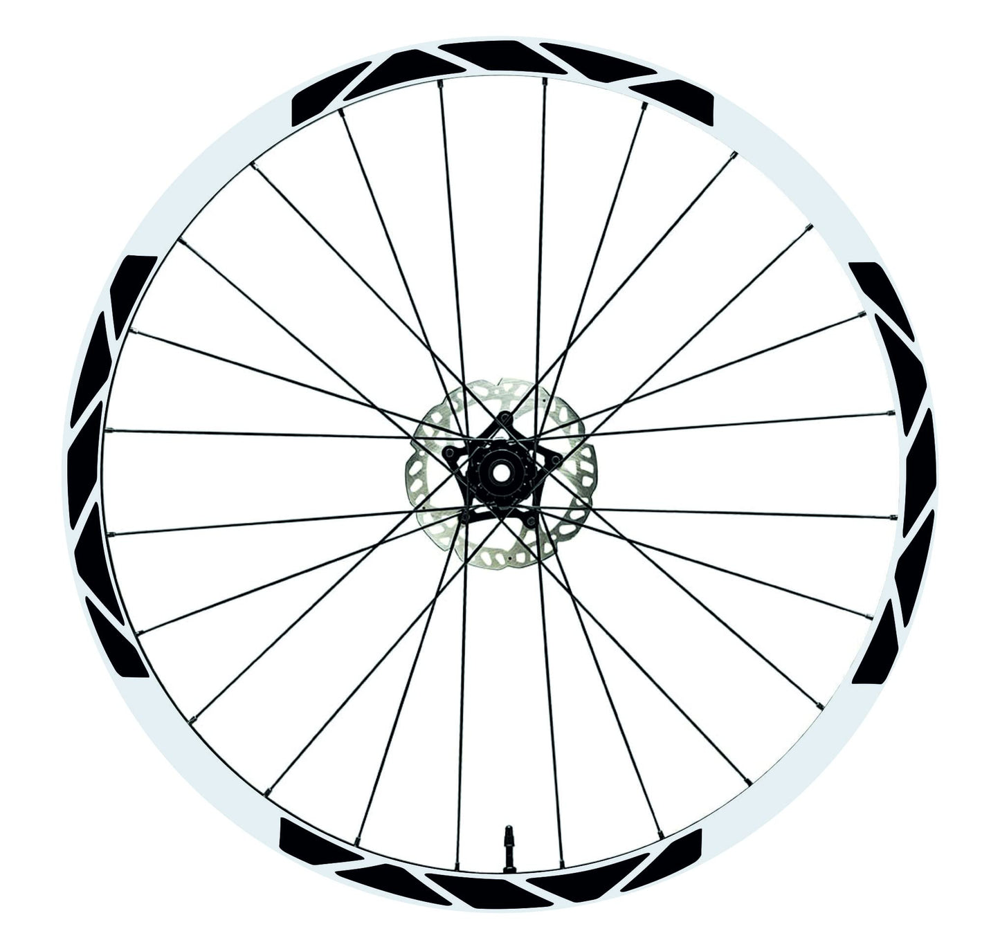 set adesivi decal vinile
