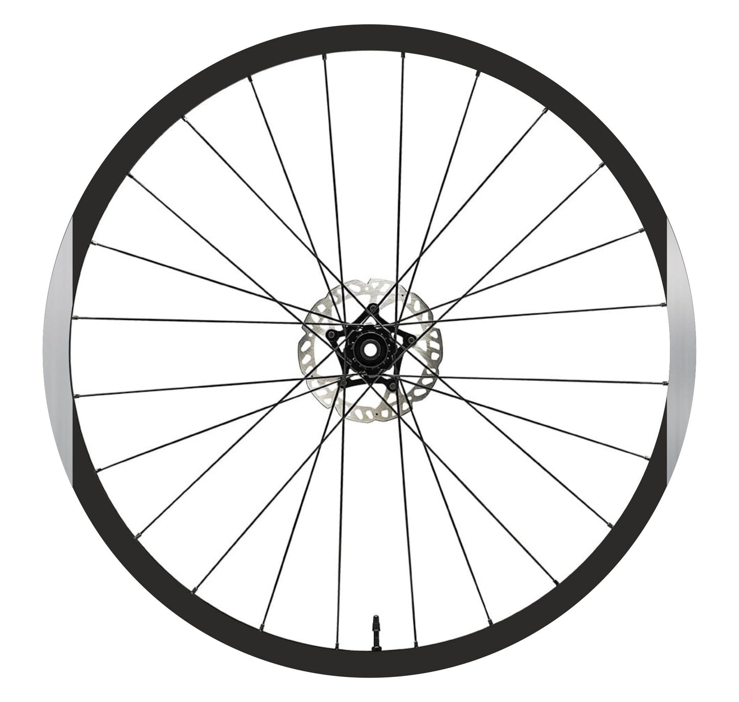 set adesivi decal vinile