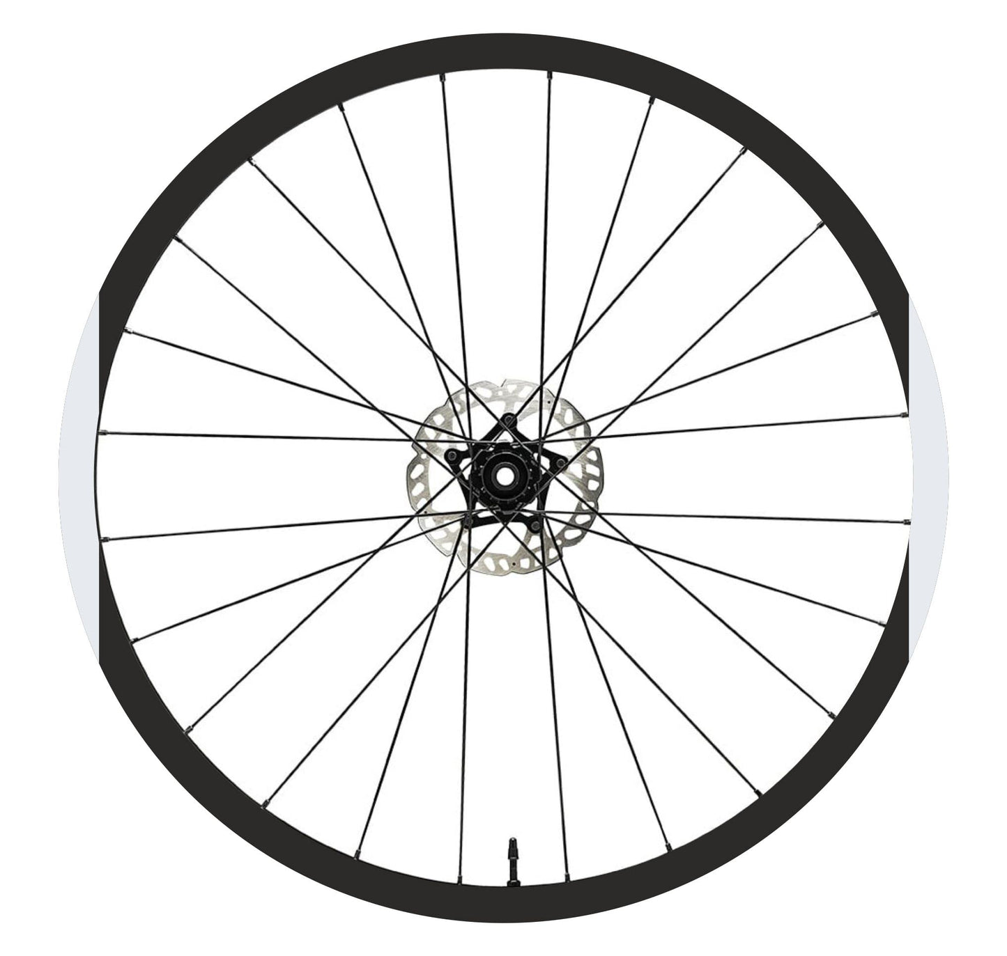 set adesivi decal vinile