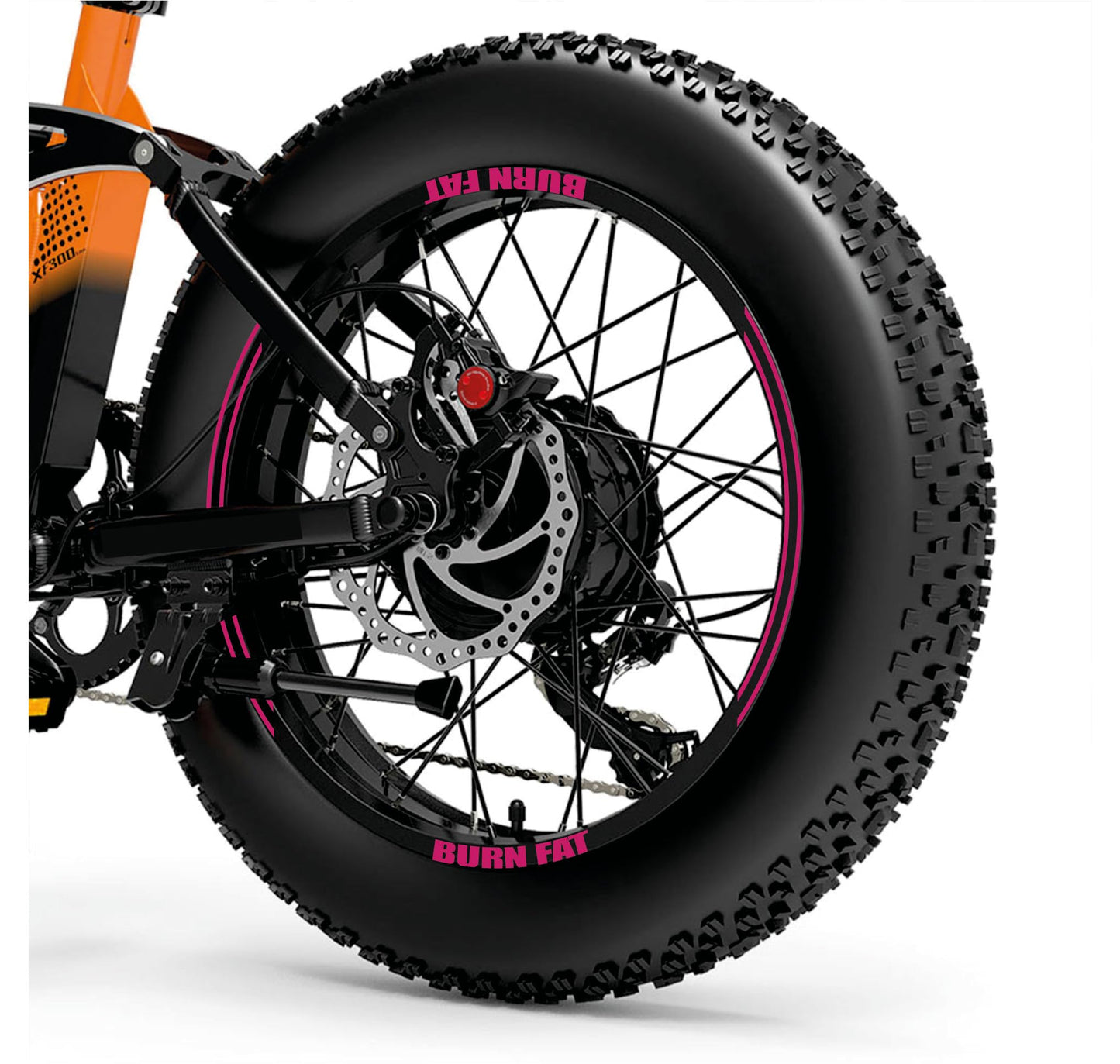 set adesivi decal vinile