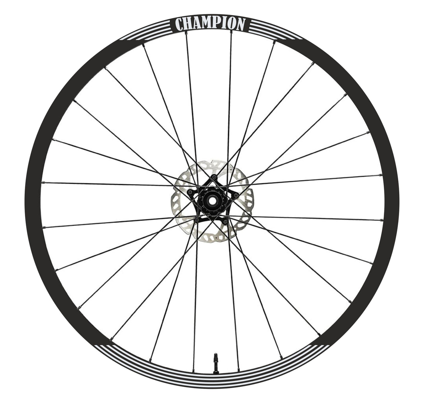 set adesivi decal vinile