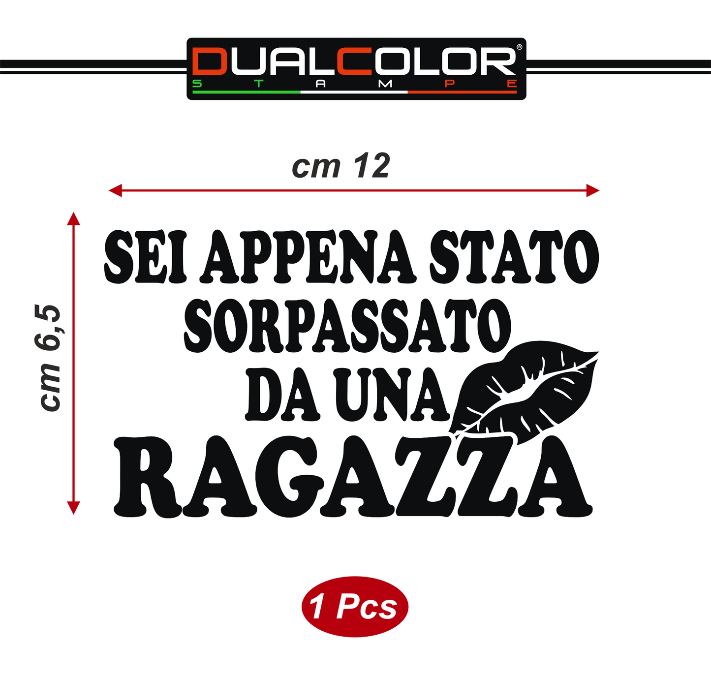 DualColorStampe® Adesivo per auto divertenti stickers auto divertenti stickers casco moto camper frase divertente sei appena stato sorpassato da una ragazza 0402