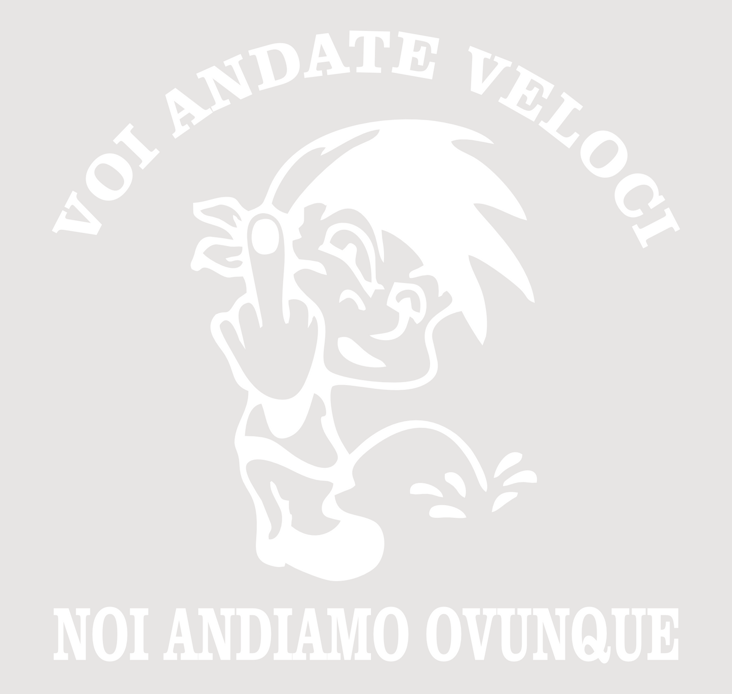 DualColorStampe® Adesivo sticker frase voi andate veloci noi andiamo ovunque per auto 4x4 moto casco decalcomania cod.0405