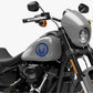 DualColorStampe® Adesivi Compatibili con Harley-Davidson bussola rosa dei venti serbatoio Set 2 stickers Moto Motorbike COD. M0357