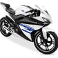DualColorStampe Adesivi Compatibili con Yamaha YZF-R125 | decal stickers Moto Carena (DX-SX) adesivi personalizzati stelle colore a scelta M0128