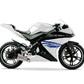 DualColorStampe Adesivi Compatibili con Yamaha YZF-R125 | Sticker Moto Carena (DX-SX) Personalizzabili | design zebrato Colorato M0120