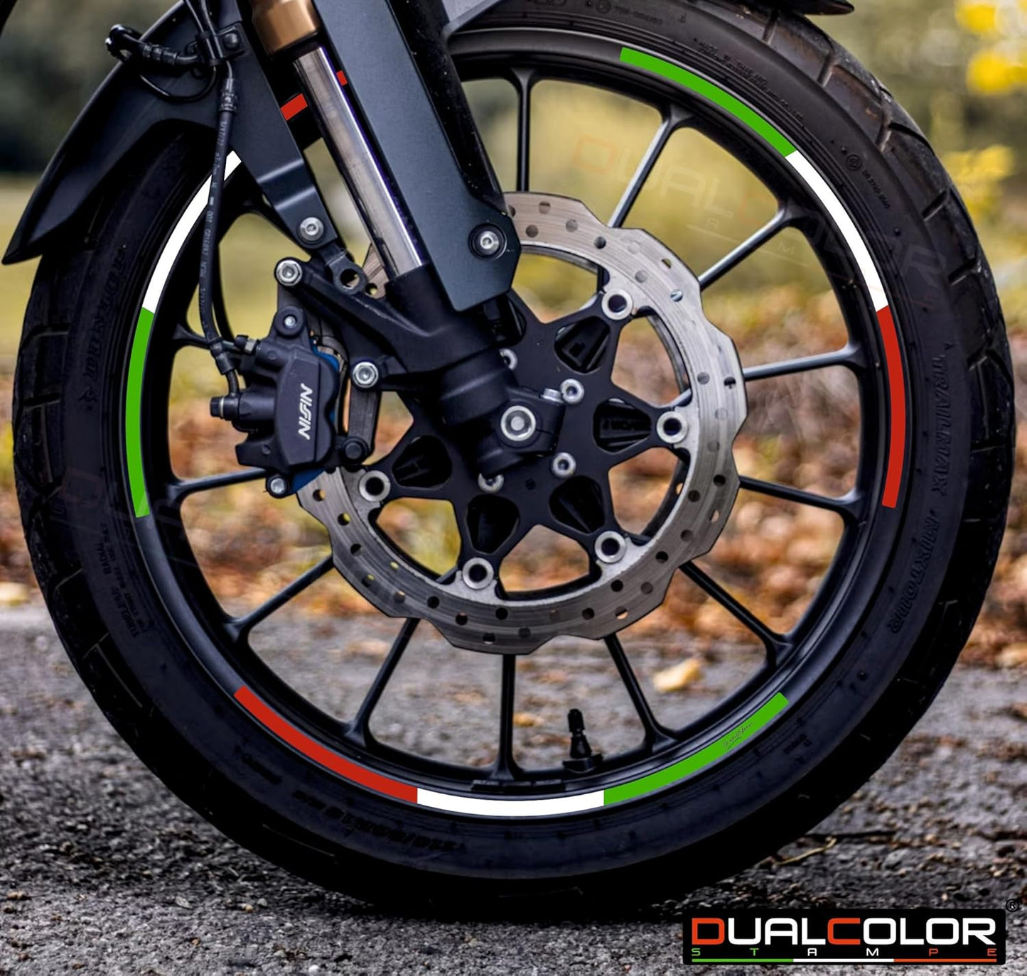 Strisce Cerchi Moto con colori della BANDIERA ITALIANA per 2 Ruote da 15" a 19" Pollici D0152