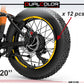 DualColorStampe Adesivi Cerchi Bici FAT BIKE 20'' - Stickers per Ruote Fat Bike MTB, Accessori Bici COD. B0206