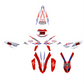 Adesivi compatibili con Beta RR 300 2T/4T 2013-2017 Kit Completo Adesivi Motocross, Sport Design, PVC Alta Resistenza, Rosso Bianco Blu M0344
