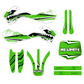 Adesivi Compatibili con Kawasaki KX 125-250, Set Completo Decalcomanie Grafiche per Moto Cross, Verde (1999-2002) Wrapping moto M0347