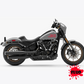 DualColorSticker Impresiones Compatible con Harley-Davidson tanque DX-SX accesorios pegatinas Moto tribal COD.M0264