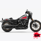 DualColorSticker Prints Compatible with Harley-Davidson tank DX-SX accessories stickers Moto Motorbike tribal COD.M0264