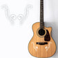 DualColorStampe Adesivi per chitarra classica elettrica basso motivo tribale (kit da 2 pezzi) decalcomania per chitarra - X0002 a €13.99 solo da DualColorStampe