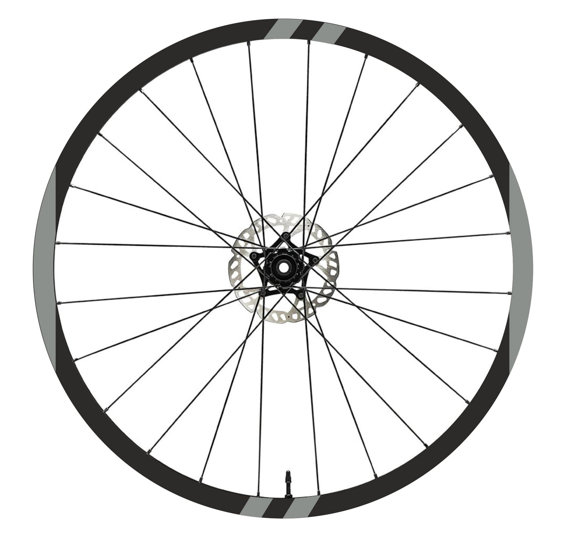 DualColorStampe Adesivi Compatibili con FOCUS Cerchi Bici 26'' - 27,5'' - 28-29'' Pollici Ruota Bici MTB Bike Stickers Cerchi MTB B0029 a €10.00 solo da DualColorStampe