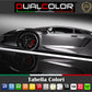 DualColorStampe Adesivi interno cerchi moto 17 POLLICI Compatibili con Ducati Suzuki Kawasaki Triumph cerchioni gomme strisce COD.D0066 a €9.99 solo da DualColorStampe