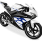 DualColorStampe Adesivi Compatibili con Yamaha YZF-R125 R125 (DX-SX) Carena moto decal stickers Design sportivo M0121 a €29.90 solo da DualColorStampe